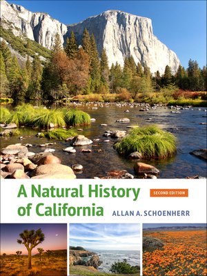 cover image of A Natural History of California